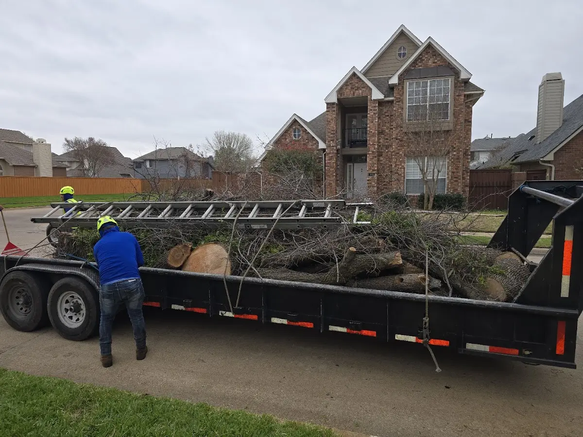 Expert Crown Reduction with proper safety equipment in Madison Heights